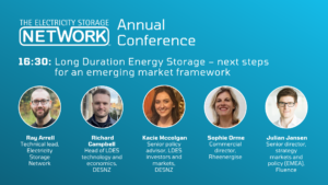 Long Duration Energy Storage - Next steps for an emerging market framework