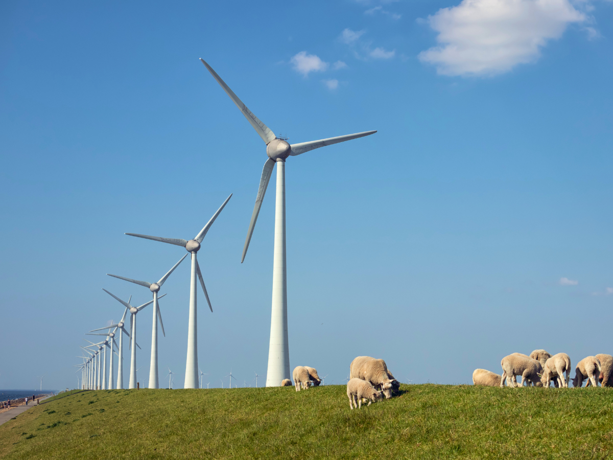 Is your project ‘needed’ for clean power?