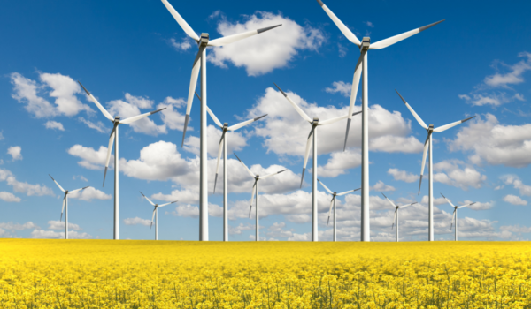 Regen welcomes the removal of the planning restrictions on onshore wind 