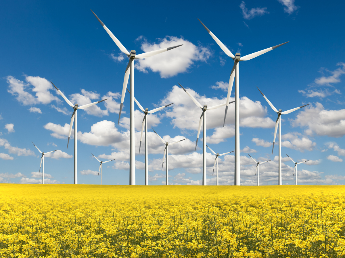 Regen welcomes the removal of the planning restrictions on onshore wind 