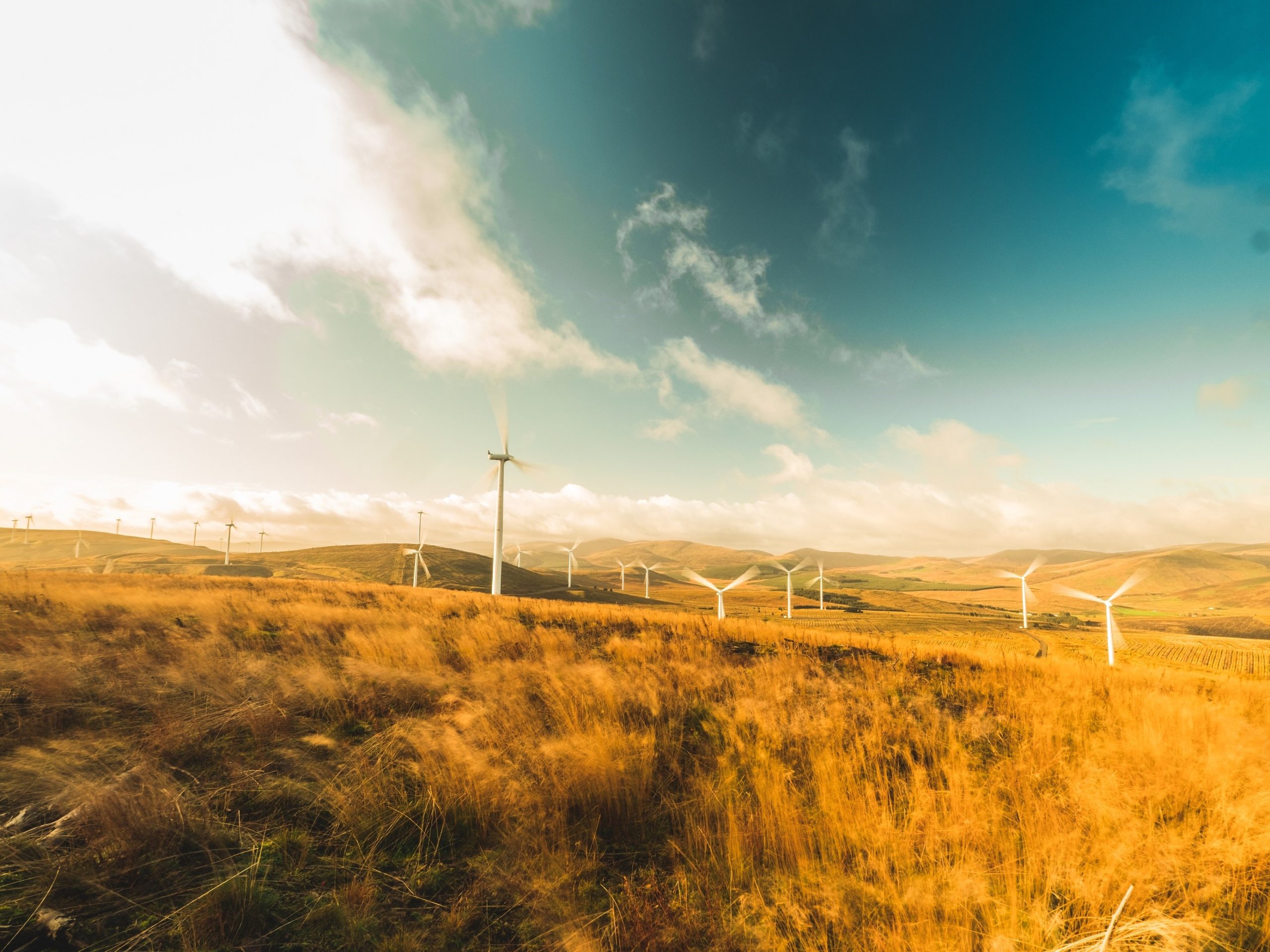 Wind Farm